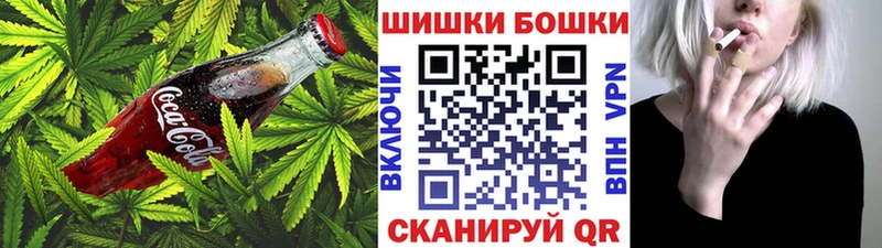 МЕГА ONION  цены наркотик  Андреаполь  Печенье с ТГК марихуана 