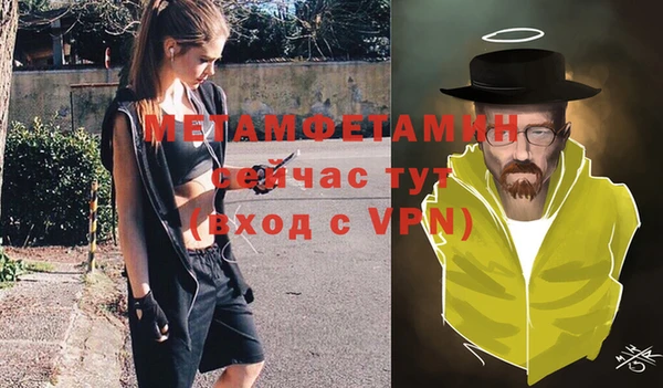 индика Покров