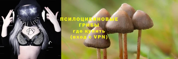 мдпв Покачи