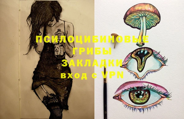 индика Покров