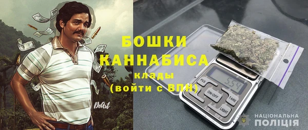 индика Покров
