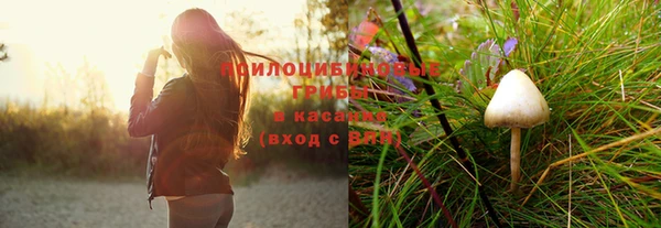 индика Покров
