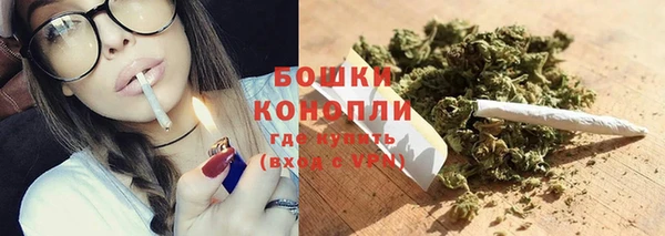 индика Покров