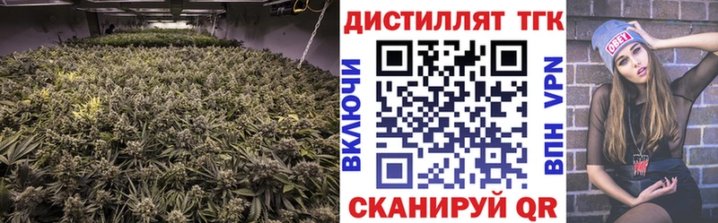 ТГК гашишное масло  kraken онион  Андреаполь  цена  