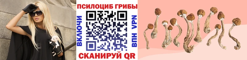 Галлюциногенные грибы GOLDEN TEACHER  OMG зеркало  Андреаполь 